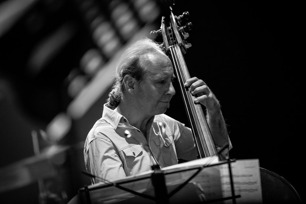 Music Photography - Drew Gress