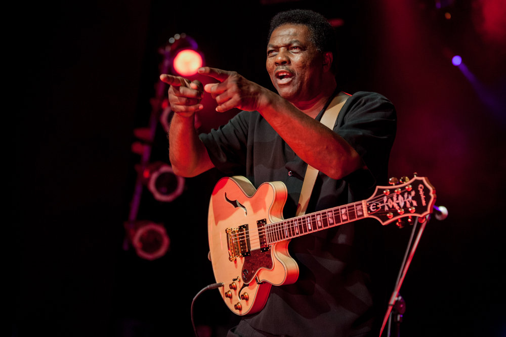 Music Photography - Terry Evans