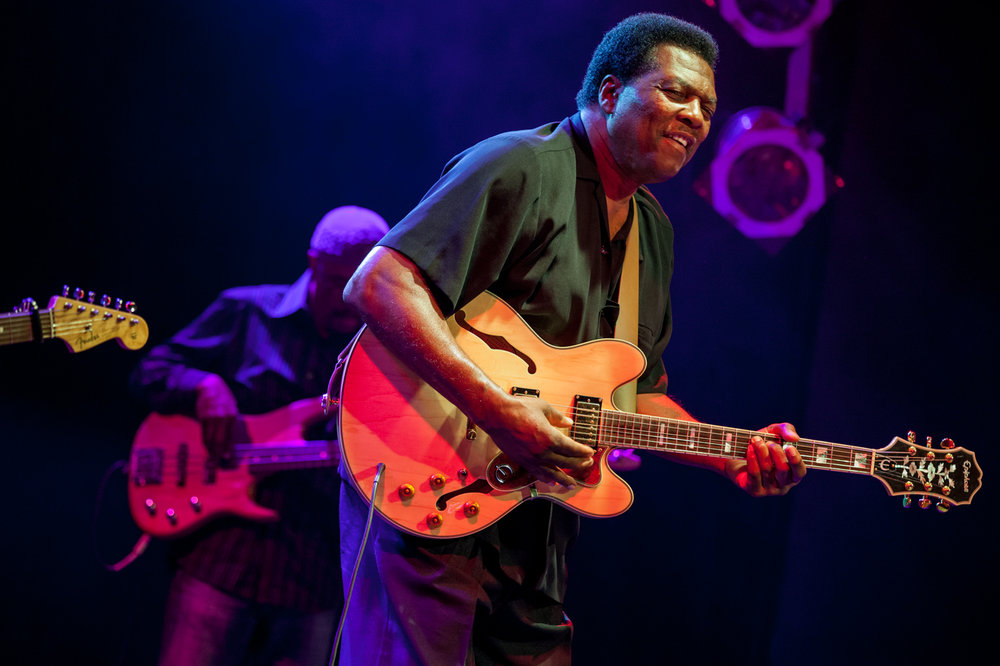 Music Photography - Terry Evans