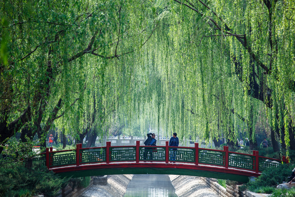Street Photography - Beijing / China