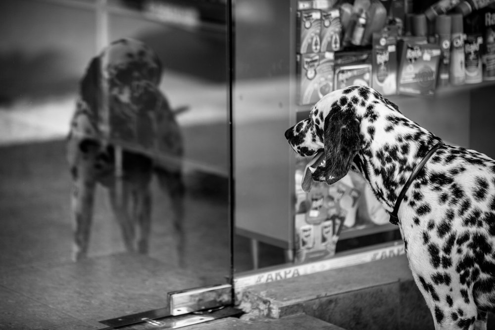 Street Photography - Batumi / Georgia