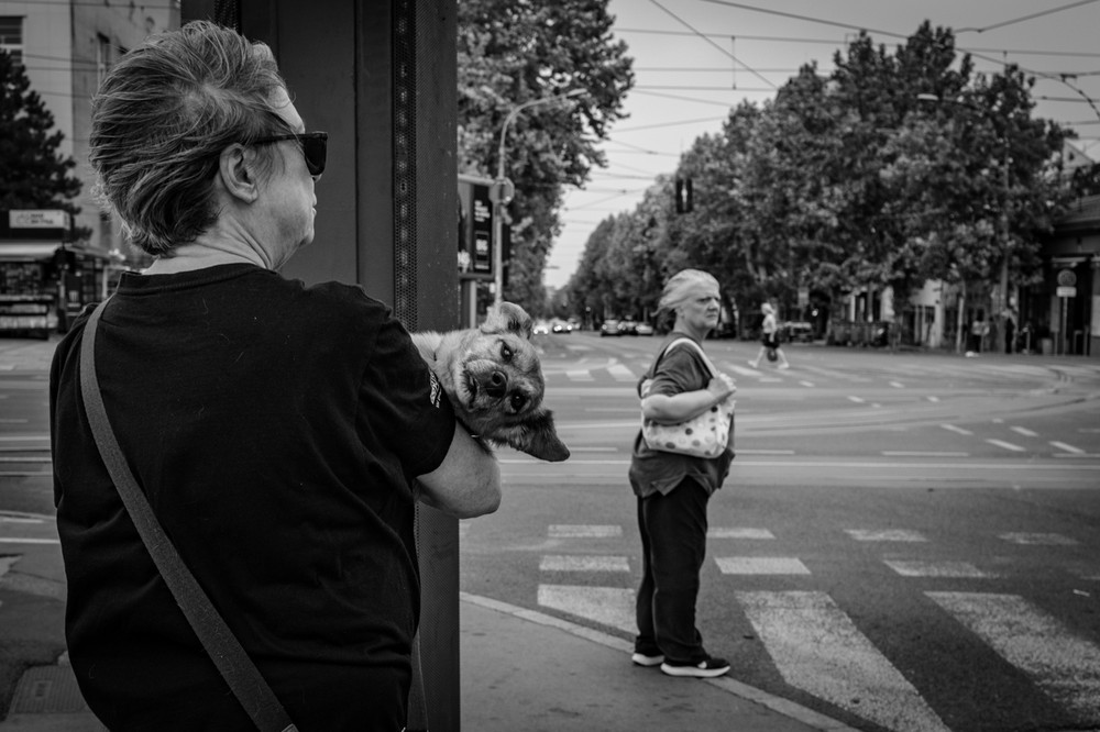 Street Photography - Belgrade / Serbia