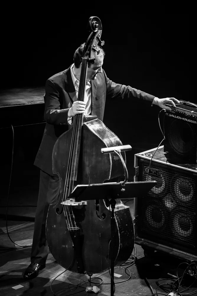 Music Photography of Darek Oleszkiewicz - Photo No. 2066 by Przemek Wozny