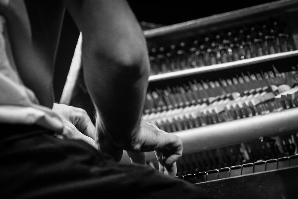 Music Photography of Marcin Masecki - Photo No. 6403 by Przemek Wozny