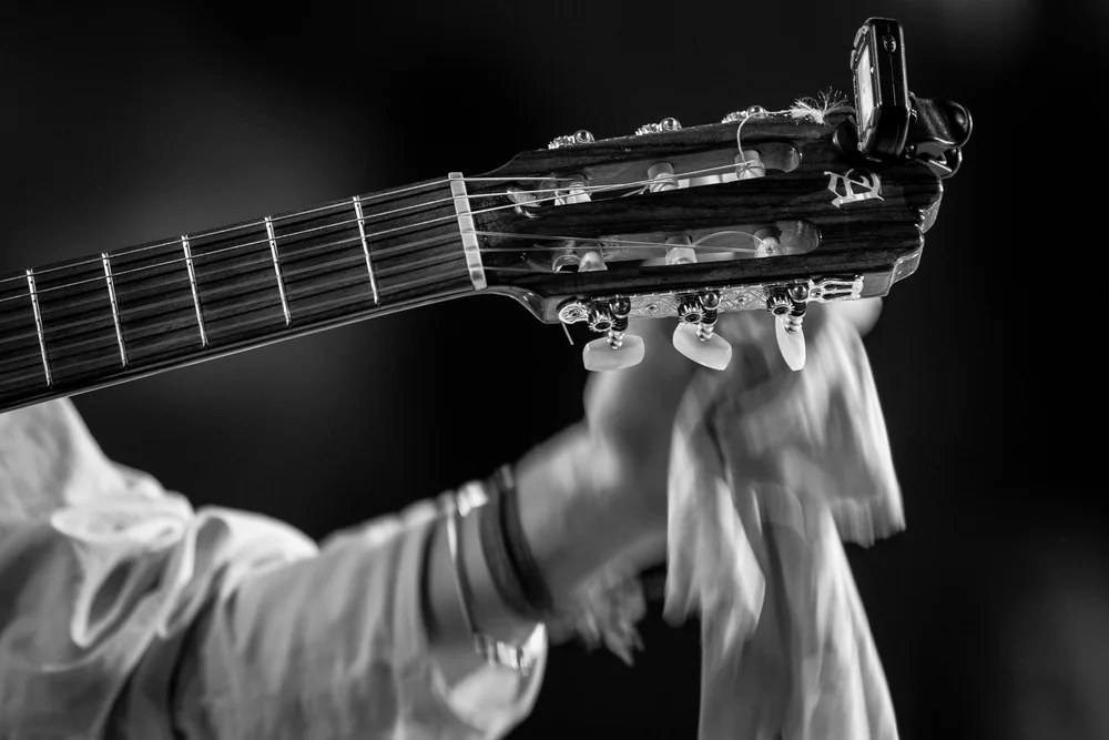 Music Photography of Herve Morisot - Photo No. 4377 by Przemek Wozny