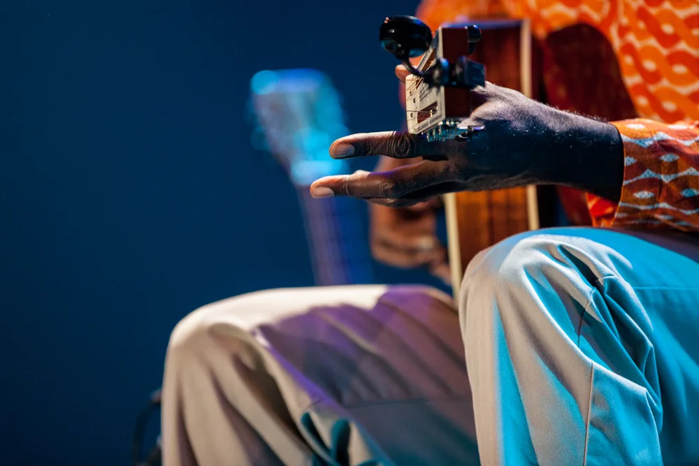 Music Photography of Corey Harris - Photo No. 6391 by Przemek Wozny