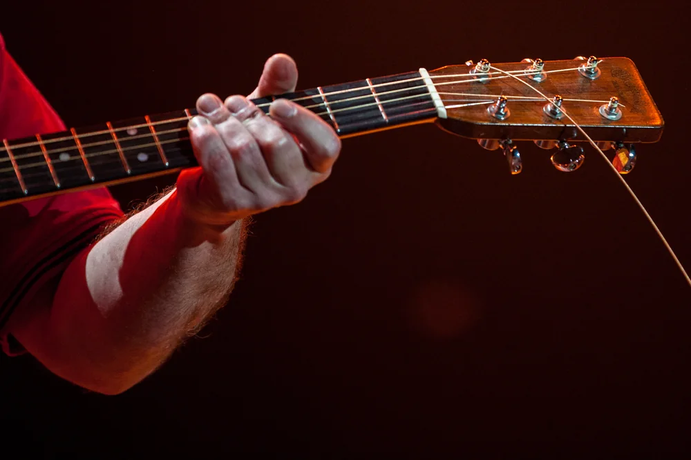 Music Photography of Michel le Blanc - Photo No. 4850 by Przemek Wozny