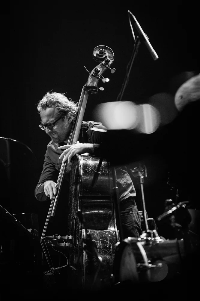 Music Photography of Herwig Hammerl - Photo No. 3524 by Przemek Wozny