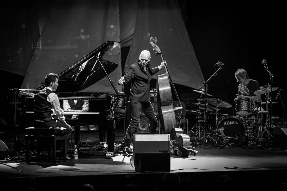 Music Photography of Lars Danielsson, Magnus Ostrom - Photo No. 3687 by Przemek Wozny