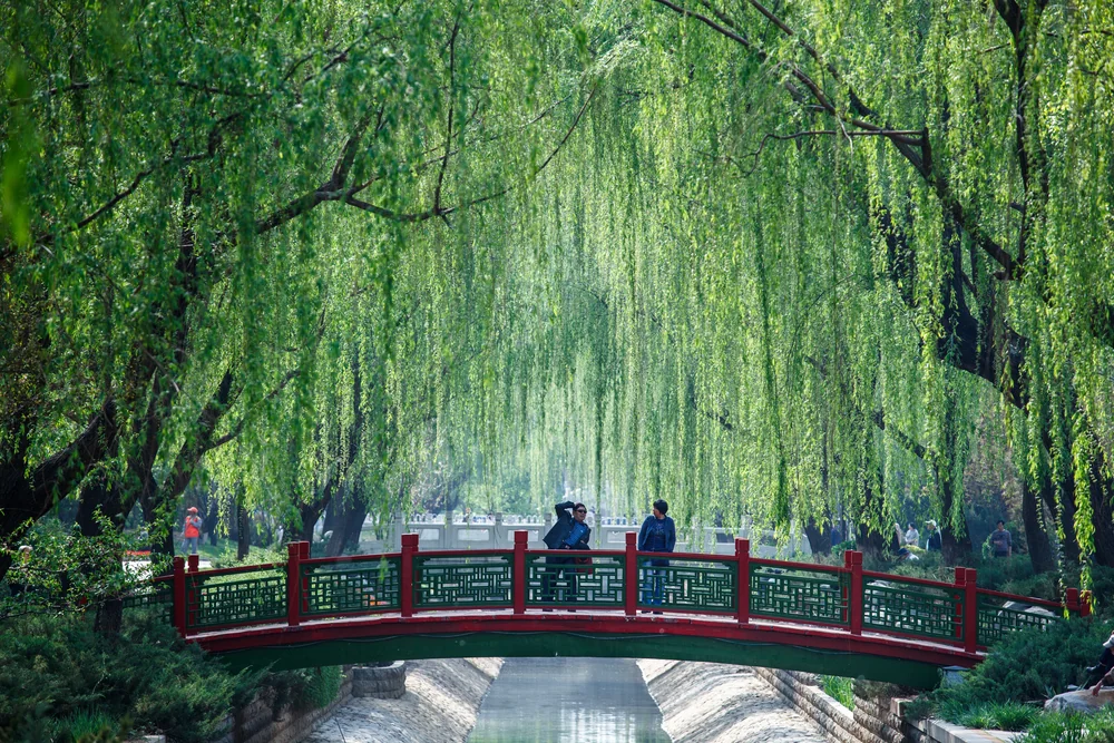Street Photography in Beijing, China - Photo No. 3728 by Przemek Wozny
