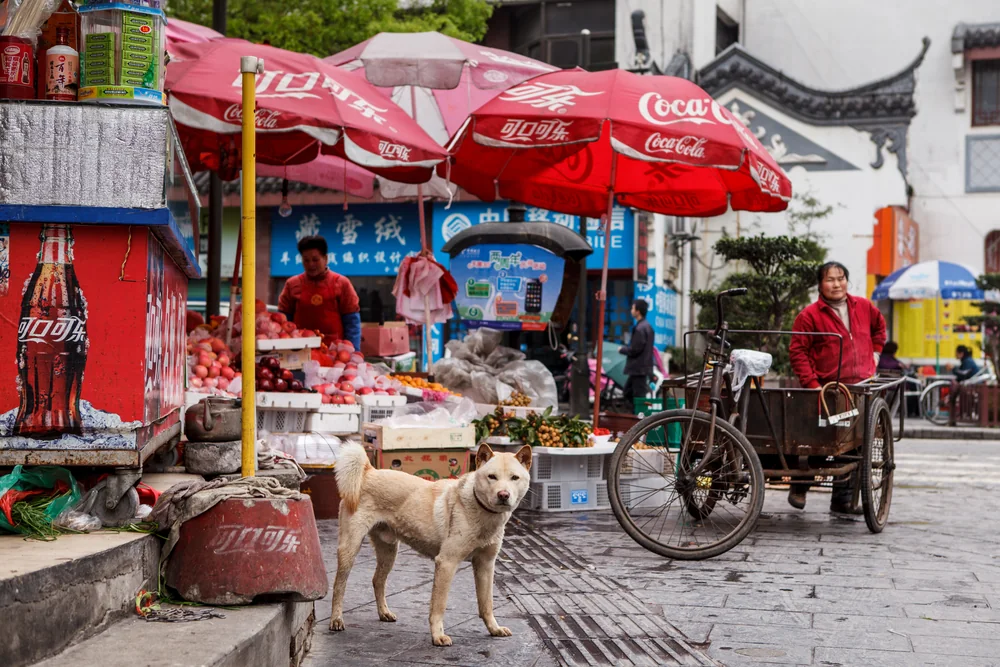 Street Photography in Guilin, China - Photo No. 1370 by Przemek Wozny