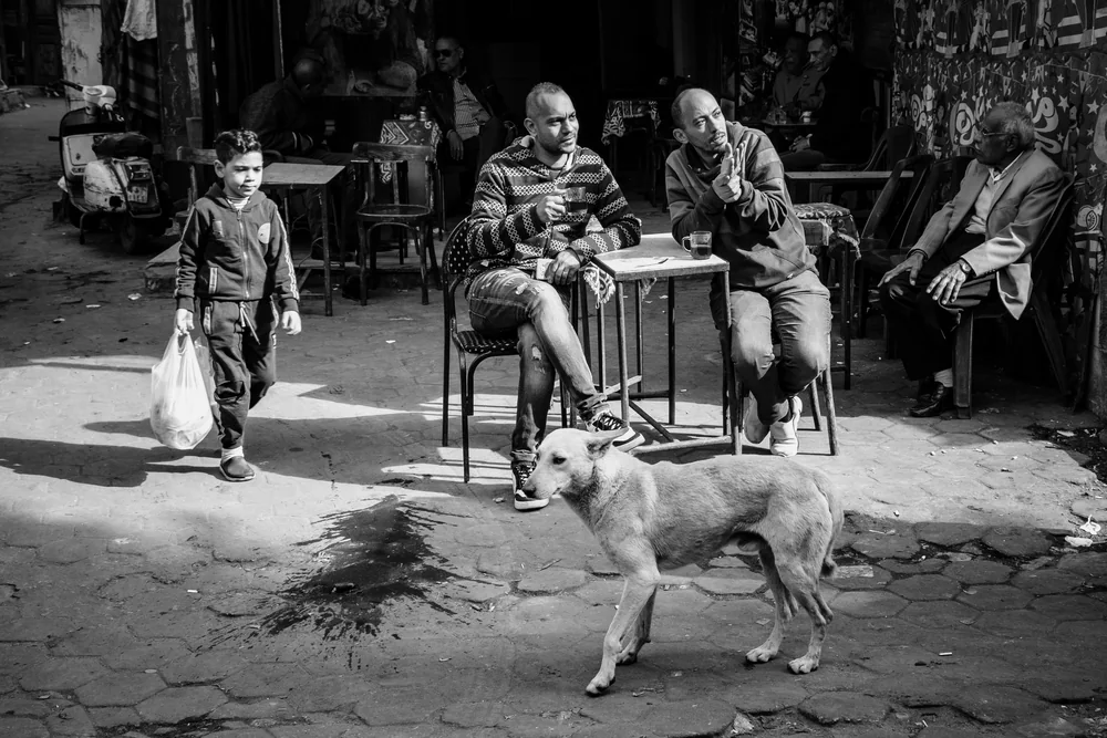 Street Photography in Cairo, Egypt - Photo No. 4435 by Przemek Wozny