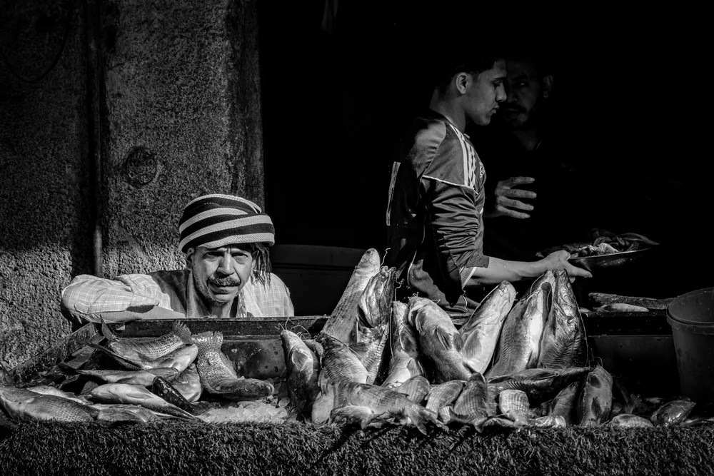 Street Photography in Cairo, Egypt - Photo No. 4492 by Przemek Wozny