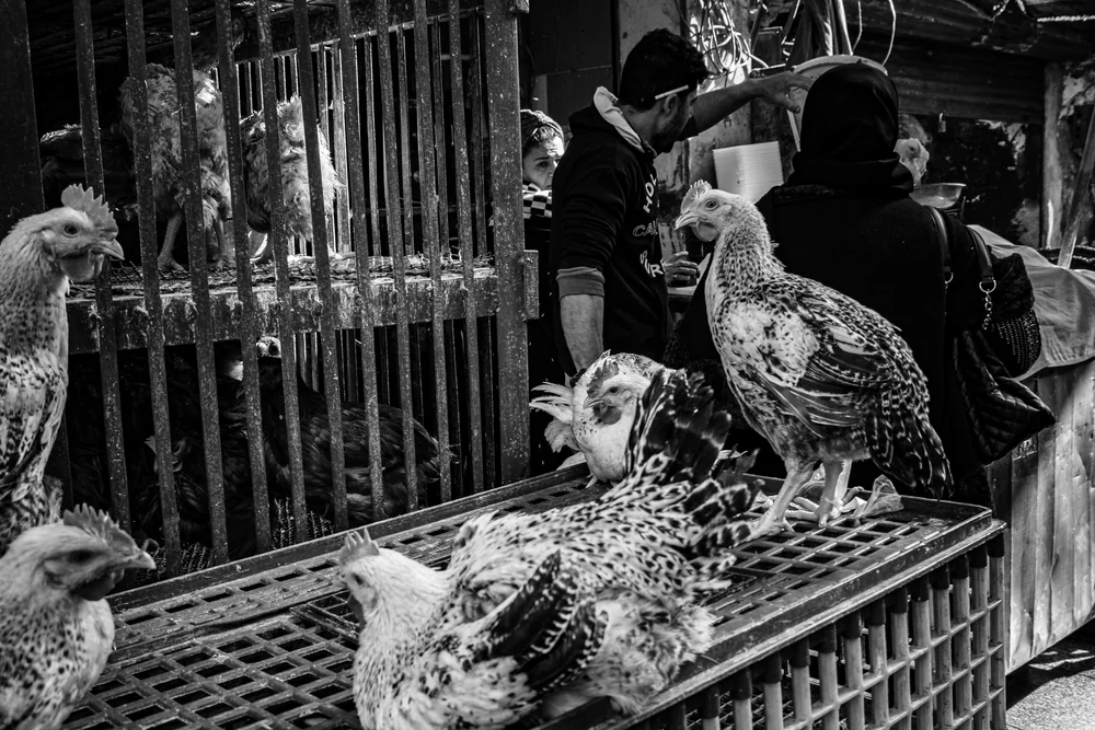 Street Photography in Cairo, Egypt - Photo No. 4550 by Przemek Wozny
