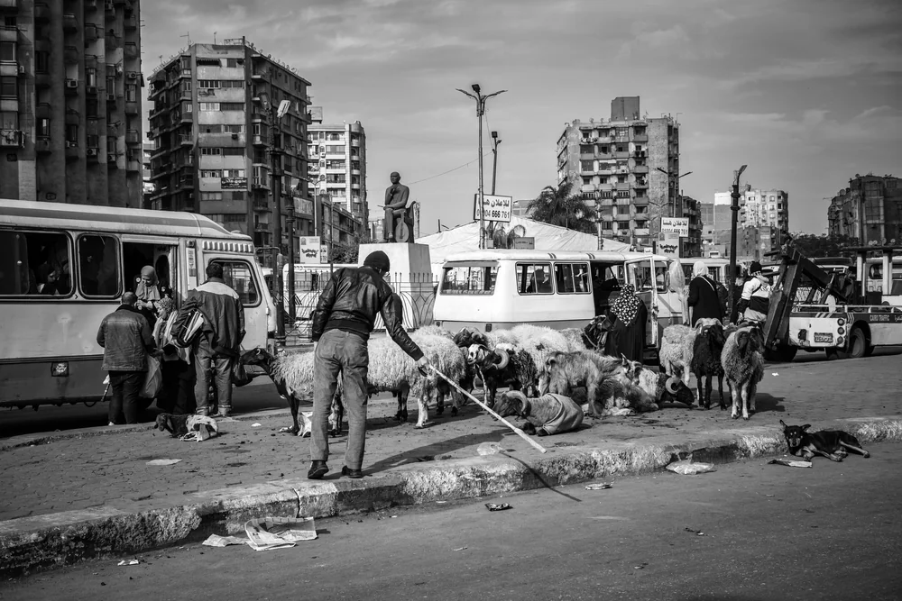 Street Photography in Cairo, Egypt - Photo No. 6336 by Przemek Wozny