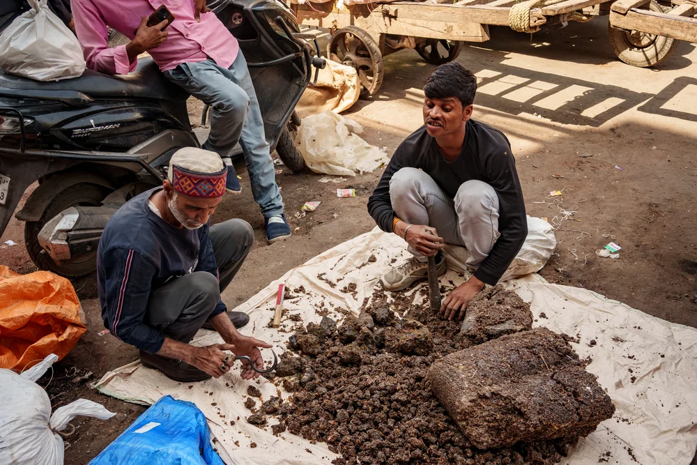 Street Photography in New Delhi, India - Photo No. 5228 by Przemek Wozny