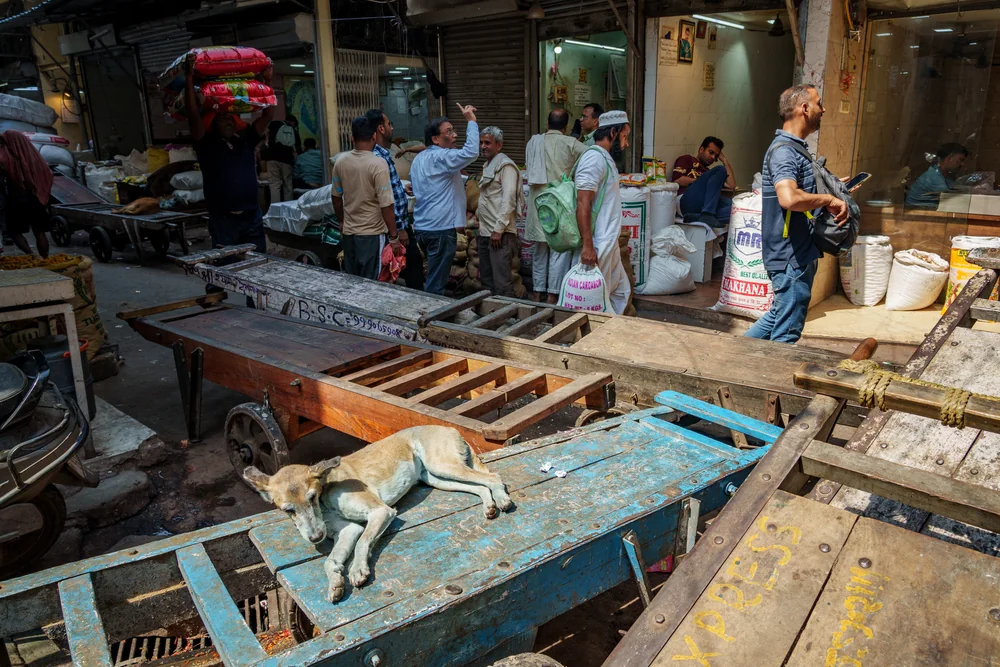 Street photography in Newdelhi, India