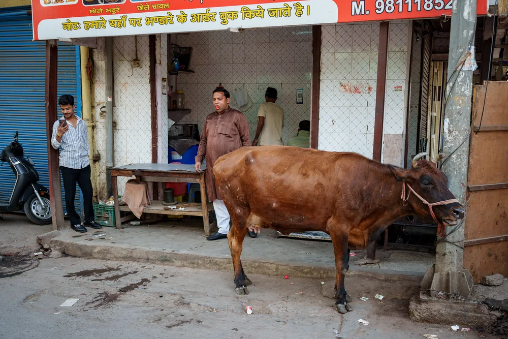 Street photography in Newdelhi, India