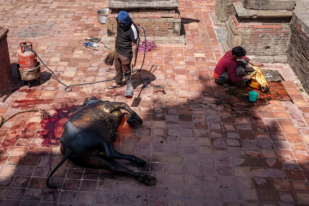 Street Photography in Patan, Nepal - Photo No. 2579 by Przemek Wozny