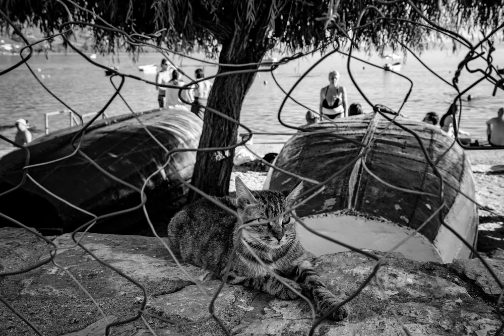 Street Photography in Ohrid, North Macedonia - Photo No. 4643 by Przemek Wozny