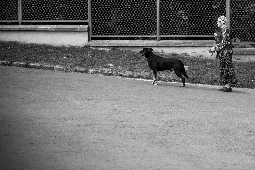 Street Photography in Czestochowa, Poland - Photo No. 4069 by Przemek Wozny