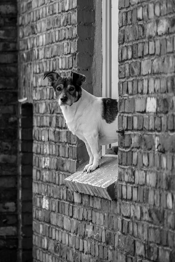 Street Photography in Katowice, Poland - Photo No. 7306 by Przemek Wozny