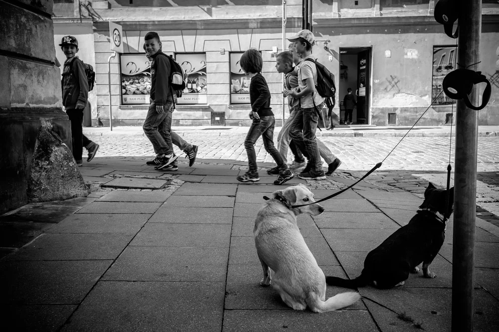 Street Photography in Warsaw, Poland - Photo No. 1885 by Przemek Wozny