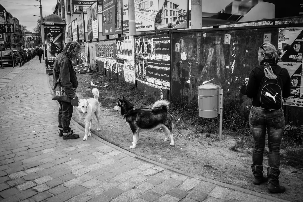 Street Photography in Wroclaw, Poland - Photo No. 1121 by Przemek Wozny