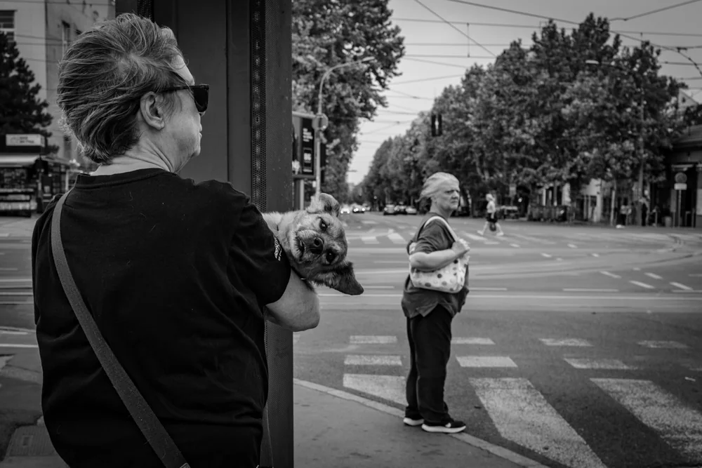 Street Photography in Belgrade, Serbia - Photo No. 7242 by Przemek Wozny