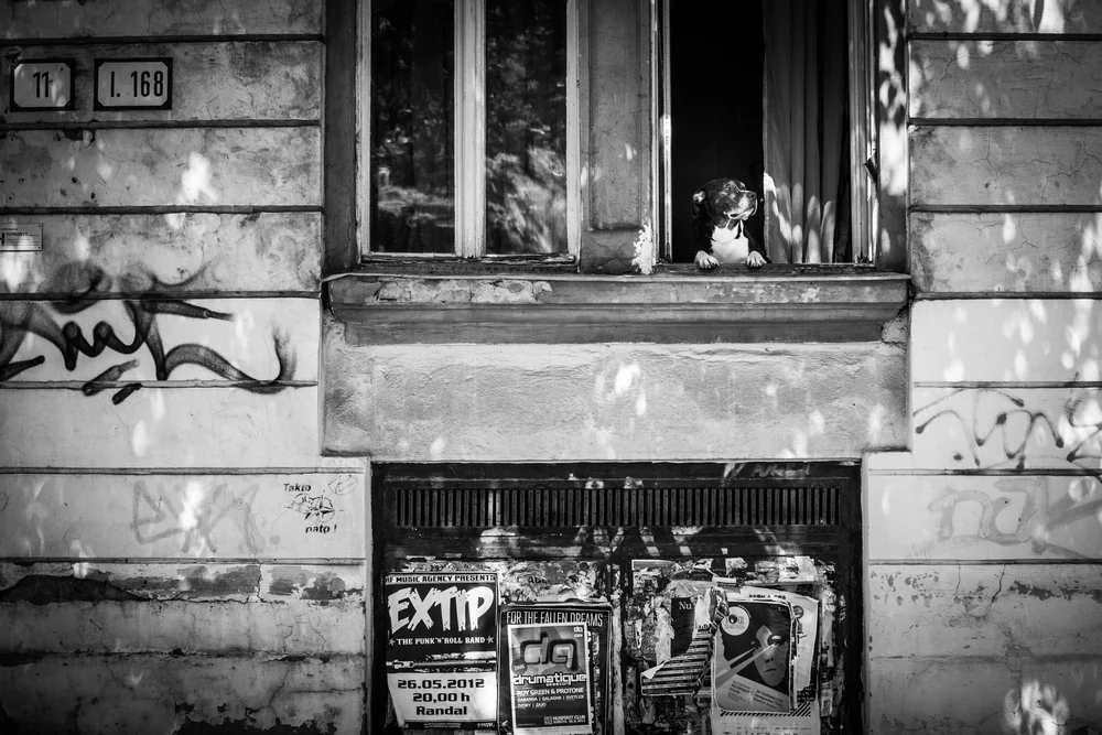 Street Photography in Bratislava, Slovakia - Photo No. 5551 by Przemek Wozny