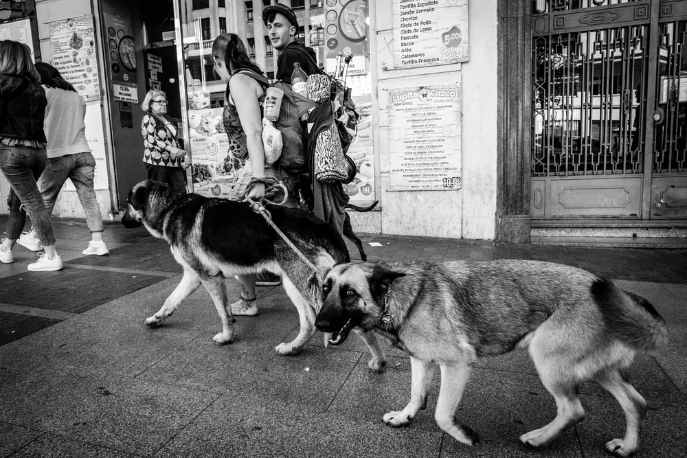 Street Photography in Madrid, Spain - Photo No. 1664 by Przemek Wozny