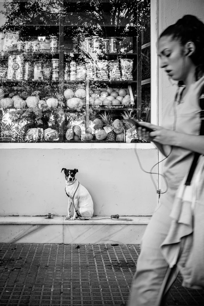Street Photography in Malaga, Spain - Photo No. 5453 by Przemek Wozny