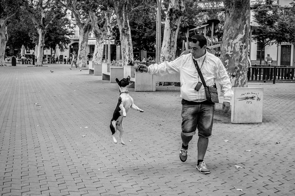 Street Photography in Sevilla, Spain - Photo No. 3106 by Przemek Wozny