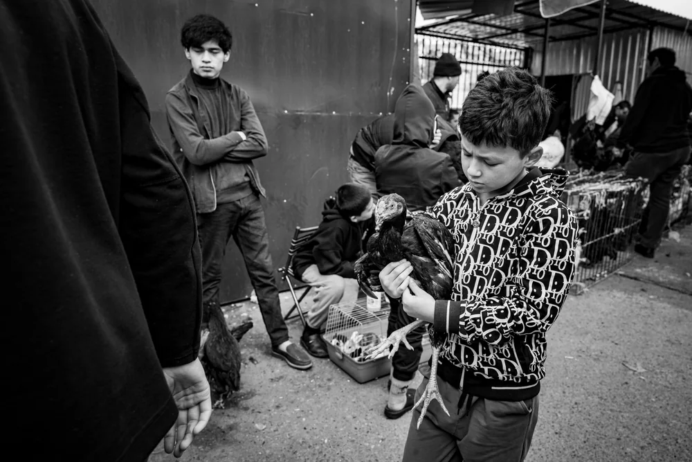 Street Photography in Tashkent, Uzbekistan - Photo No. 6524 by Przemek Wozny