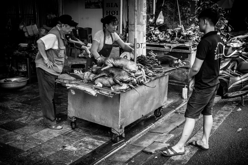 Street Photography in Hanoi, Vietnam - Photo No. 0639 by Przemek Wozny