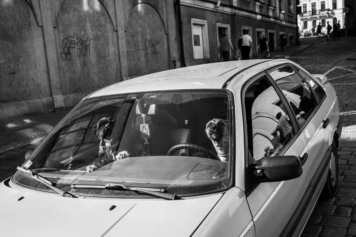 Street Photography Album: Walbrzych, Poland